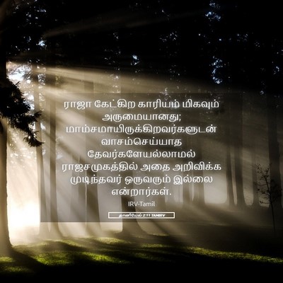 Picture 05 - தானியேல் 2:11 TAMIRV - ராஜா கேட்கிற - Bible Verse Picture