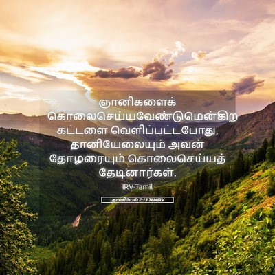 Picture 05 - தானியேல் 2:13 TAMIRV - ஞானிகளைக் - Bible Verse Picture