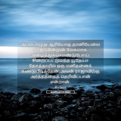 Picture 05 - தானியேல் 2:25 TAMIRV - அப்பொழுது ஆரியோகு - Bible Verse Picture