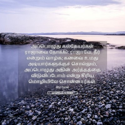 Picture 05 - தானியேல் 2:4 TAMIRV - அப்பொழுது - Bible Verse Picture