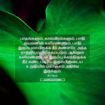 Picture 05 - தானியேல் 2:41 TAMIRV - பாதங்களும், - Bible Verse Picture