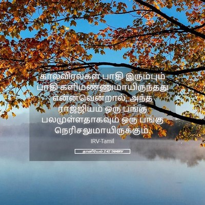 Picture 05 - தானியேல் 2:42 TAMIRV - கால்விரல்கள் பாதி - Bible Verse Picture