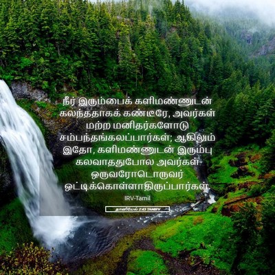 Picture 05 - தானியேல் 2:43 TAMIRV - நீர் இரும்பைக் - Bible Verse Picture