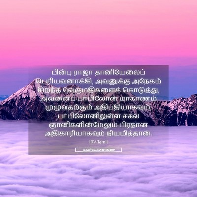 Picture 05 - தானியேல் 2:48 TAMIRV - பின்பு ராஜா - Bible Verse Picture