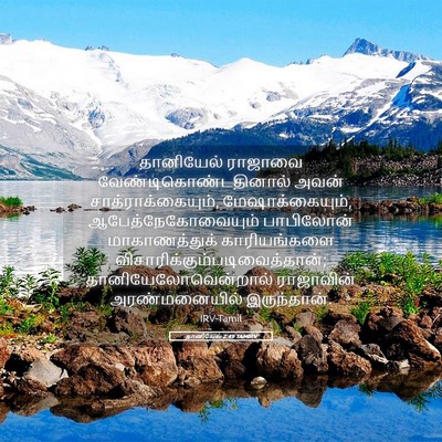 Picture 05 - தானியேல் 2:49 TAMIRV - தானியேல் ராஜாவை - Bible Verse Picture