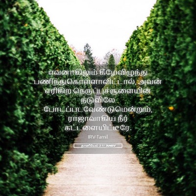 Picture 05 - தானியேல் 3:11 TAMIRV - எவனாகிலும் - Bible Verse Picture