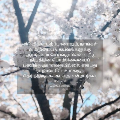 Picture 05 - தானியேல் 3:18 TAMIRV -  - Bible Verse Picture