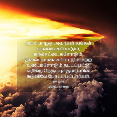 Picture 05 - தானியேல் 3:21 TAMIRV - அப்பொழுது அவர்கள் - Bible Verse Picture