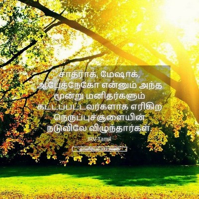 Picture 05 - தானியேல் 3:23 TAMIRV - சாத்ராக், மேஷாக், - Bible Verse Picture