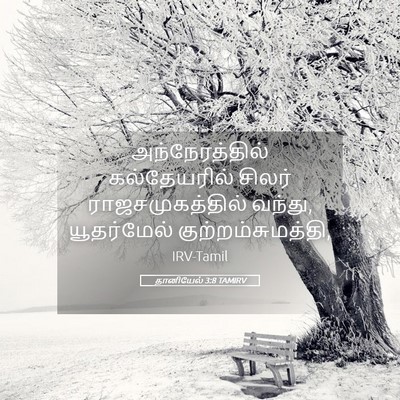 Picture 05 - தானியேல் 3:8 TAMIRV - அந்நேரத்தில் - Bible Verse Picture