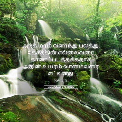 Picture 05 - தானியேல் 4:11 TAMIRV - அந்த மரம் - Bible Verse Picture