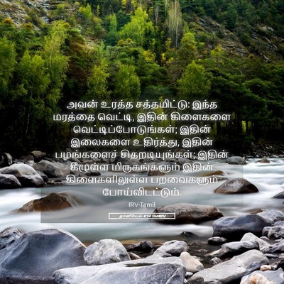 Picture 05 - தானியேல் 4:14 TAMIRV - அவன் உரத்த - Bible Verse Picture