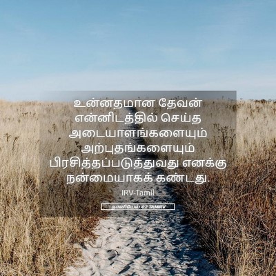 Picture 05 - தானியேல் 4:2 TAMIRV - உன்னதமான தேவன் - Bible Verse Picture
