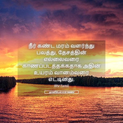 Picture 05 - தானியேல் 4:20 TAMIRV - நீர் கண்ட மரம் - Bible Verse Picture