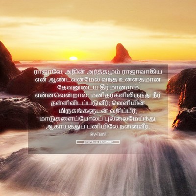 Picture 05 - தானியேல் 4:24 TAMIRV - ராஜாவே, அதின் - Bible Verse Picture