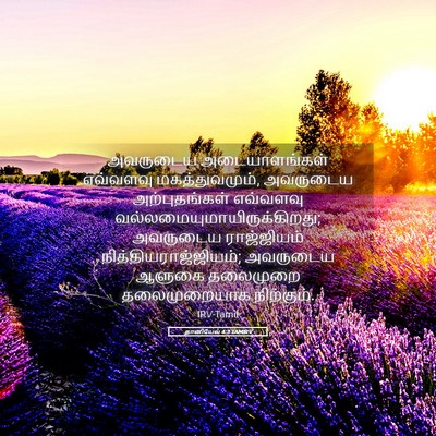 Picture 05 - தானியேல் 4:3 TAMIRV - அவருடைய - Bible Verse Picture