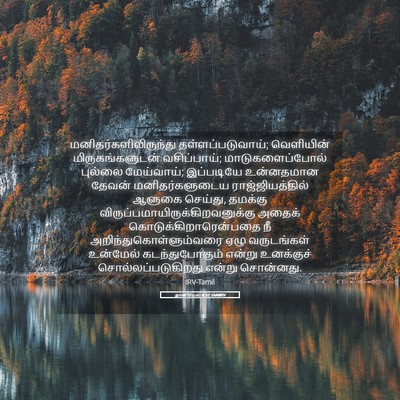 Picture 05 - தானியேல் 4:32 TAMIRV -  - Bible Verse Picture