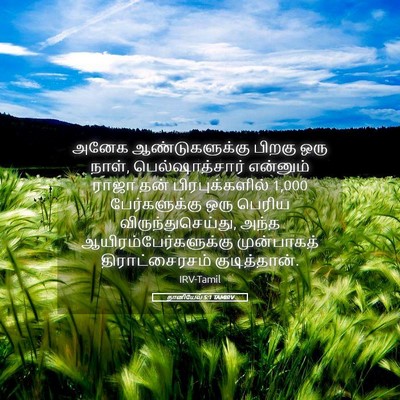 Picture 05 - தானியேல் 5:1 TAMIRV - அனேக ஆண்டுகளுக்கு - Bible Verse Picture