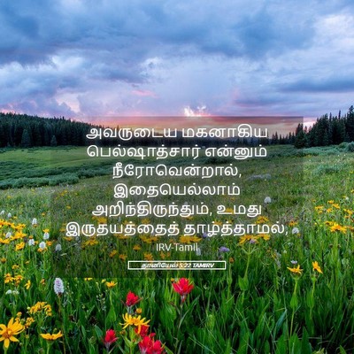Picture 05 - தானியேல் 5:22 TAMIRV - அவருடைய மகனாகிய - Bible Verse Picture