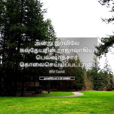 Picture 05 - தானியேல் 5:30 TAMIRV - அன்று இரவிலே - Bible Verse Picture