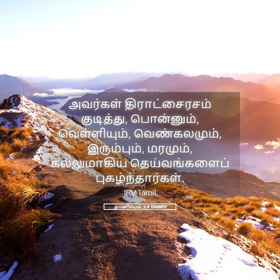 Picture 05 - தானியேல் 5:4 TAMIRV - அவர்கள் - Bible Verse Picture