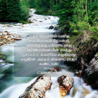 Picture 05 - தானியேல் 5:5 TAMIRV - அந்த நேரத்தில் - Bible Verse Picture
