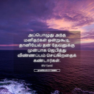 Picture 05 - தானியேல் 6:11 TAMIRV - அப்பொழுது அந்த - Bible Verse Picture