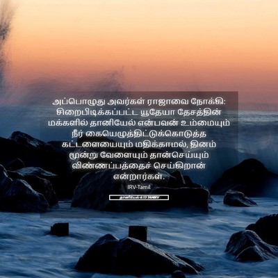 Picture 05 - தானியேல் 6:13 TAMIRV - அப்பொழுது அவர்கள் - Bible Verse Picture