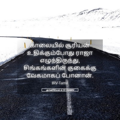 Picture 05 - தானியேல் 6:19 TAMIRV - காலையில் சூரியன் - Bible Verse Picture