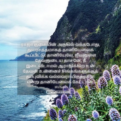 Picture 05 - தானியேல் 6:20 TAMIRV - ராஜா குகையின் - Bible Verse Picture