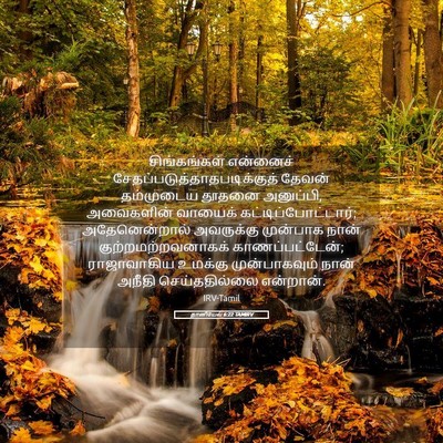Picture 05 - தானியேல் 6:22 TAMIRV - சிங்கங்கள் - Bible Verse Picture