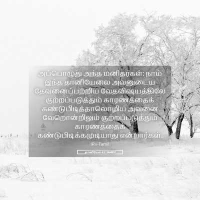 Picture 05 - தானியேல் 6:5 TAMIRV - அப்பொழுது அந்த - Bible Verse Picture