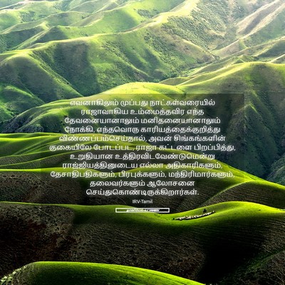 Picture 05 - தானியேல் 6:7 TAMIRV - எவனாகிலும் - Bible Verse Picture