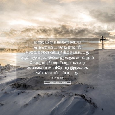 Picture 05 - தானியேல் 7:12 TAMIRV - மற்ற - Bible Verse Picture