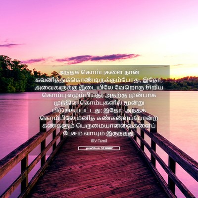 Picture 05 - தானியேல் 7:8 TAMIRV - அந்தக் கொம்புகளை - Bible Verse Picture
