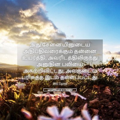 Picture 05 - தானியேல் 8:11 TAMIRV - அது சேனையினுடைய - Bible Verse Picture