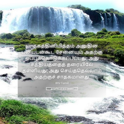 Picture 05 - தானியேல் 8:12 TAMIRV -  - Bible Verse Picture