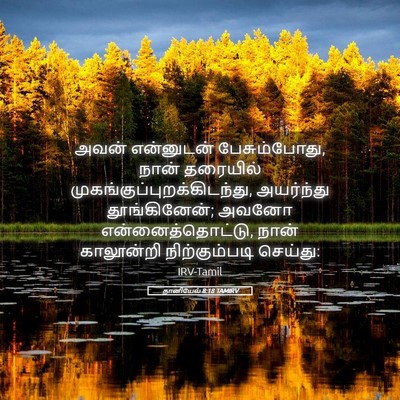 Picture 05 - தானியேல் 8:18 TAMIRV - அவன் என்னுடன் - Bible Verse Picture