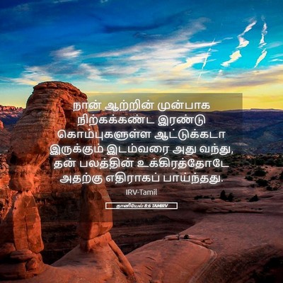 Picture 05 - தானியேல் 8:6 TAMIRV - நான் ஆற்றின் - Bible Verse Picture