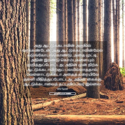 Picture 05 - தானியேல் 8:7 TAMIRV - அது - Bible Verse Picture