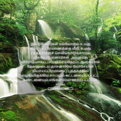 Picture 05 - தானியேல் 9:11 TAMIRV - இஸ்ரவேலர்கள் - Bible Verse Picture