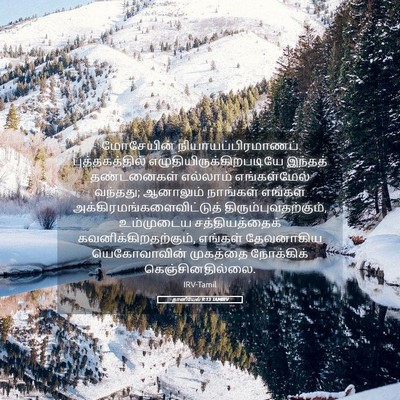 Picture 05 - தானியேல் 9:13 TAMIRV - மோசேயின் - Bible Verse Picture