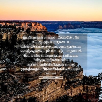 Picture 05 - தானியேல் 9:17 TAMIRV - இப்போதும் எங்கள் - Bible Verse Picture
