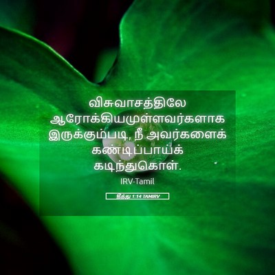 Picture 05 - தீத்து 1:14 TAMIRV - விசுவாசத்திலே - Bible Verse Picture