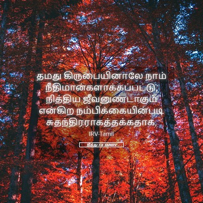 Picture 05 - தீத்து 3:6 TAMIRV - தமது கிருபையினாலே - Bible Verse Picture