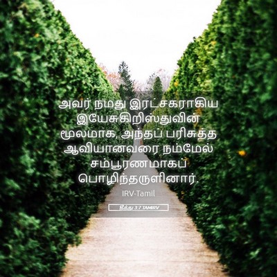 Picture 05 - தீத்து 3:7 TAMIRV - அவர் நமது - Bible Verse Picture