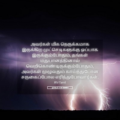 Picture 05 - நாகூம் 1:10 TAMIRV - அவர்கள் மிக - Bible Verse Picture