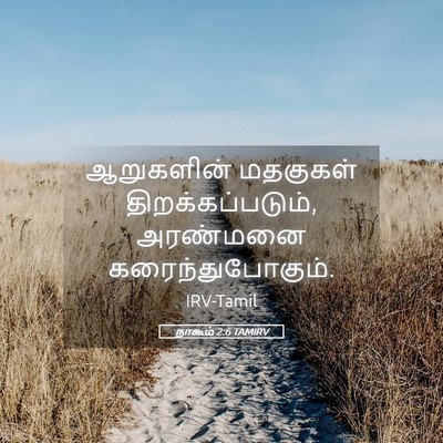 Picture 05 - நாகூம் 2:6 TAMIRV - ஆறுகளின் மதகுகள் - Bible Verse Picture