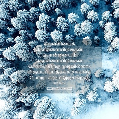 Picture 05 - நாகூம் 2:9 TAMIRV - வெள்ளியைக் - Bible Verse Picture