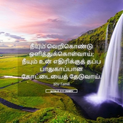 Picture 05 - நாகூம் 3:11 TAMIRV - நீயும் வெறிகொண்டு - Bible Verse Picture